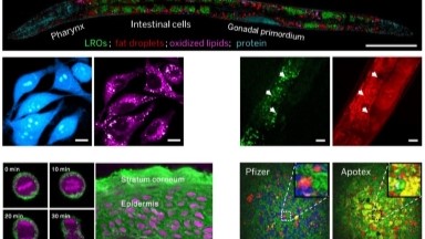 蛋白質制備與鑒定平臺分子光譜成像技術交流通知