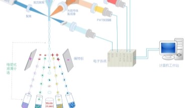 細胞功能分析平臺流式細胞術細胞分選實用技術培訓通知