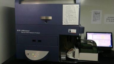 共享儀器平臺BD Fortessa流式細胞分析儀線上上機培訓通知