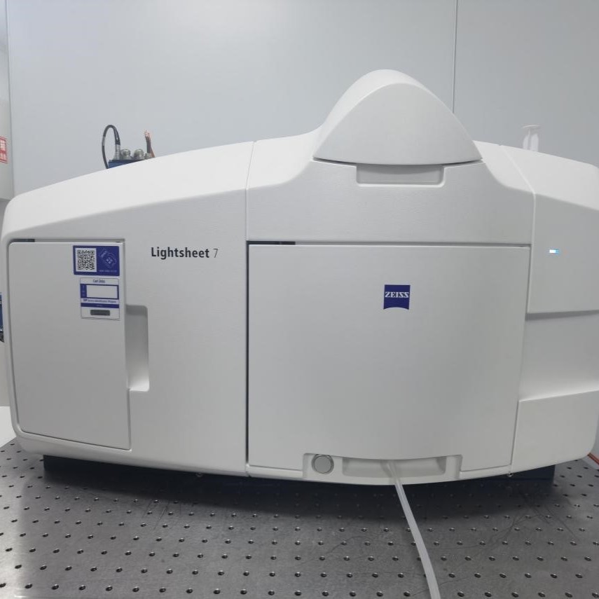 Lightsheet 7光片顯微鏡（蔡司ZEISS）