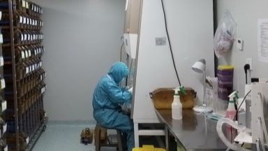 實驗動物中心ABSL-2動物生物安全培訓通知