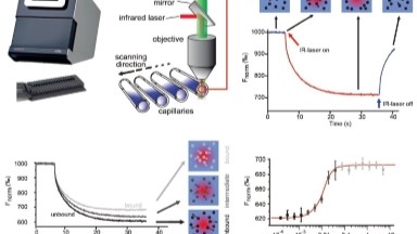 蛋白質制備與鑒定平臺微量熱泳動儀MST培訓通知