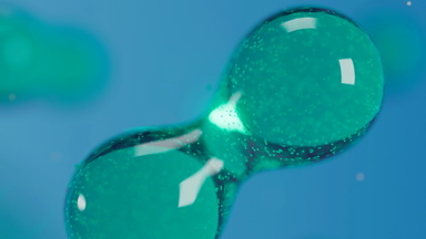 細胞生物學平臺“動態單分子成像”技術研討會通知