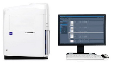 細胞生物學平臺Zeiss全自動數字玻片掃描系統上機培訓通知