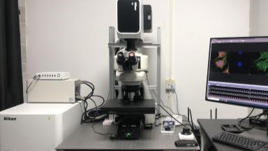共享儀器平臺Nikon AXR NSPARC 超分辨正置共聚焦顯微鏡上機培訓通知